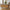 Barco Bænk med Opbevaring i Egetræslook og indbygget grå hynde fra House Nordic | 92x33x48cm