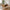 Barrali TV Bænk i Natur Egetræ og Rattan fra Unique Furniture | B150xD45xH50cm