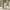 Basic Kombination 71760/25 i Flere Farver fra Tvilum | B40,6xD28,3xH107,2cm - Billede 2