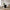 Boavista Spisebord i Mørkebrun Decorpapir og 4 Amorim Spisebordsstole i Off-White Bouclé Fra House Nordic