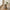 Bonn Sidebord i Naturfarvet Fiberclay med Rillet Design fra House Nordic | Ø37xH43cm