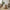 Bonn Sidebord / Sofabord i Naturfarvet Fiberclay fra House Nordic | Ø47,5xH41cm