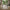 Caracas Sofabord i Natur Egetræ & Stel i Sort Stål fra Actona | B90xD90xH40cm - Billede 2