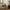 Carmel Plaid i Uld Mix og Sort/Brun fra House Nordic | L170xB130cm