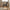 Cleveland Hynde i Sort Polyester Fra House Nordic | 45x51,5x5 cm