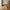 Cleveland Spisebord med Teak Bordplade og Sorte Ben fra House Nordic | L220xB90xH74cm