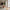 Dahlia Buket i Mix Farvet Plastik fra House Nordic | L30xB25xH68 cm