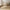 Darwin Spisebord i Natur fra House Nordic | 100x240-290-340x75cm