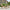 Derby Loungesæt med Stol og Skammel i Teak og Natur Rattan fra House Nordic | L80xB60xH73 cm
