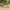 Derby Solseng i Naturfarvet Teak/Polyrattan fra House Nordic | L190xB65xH38cm