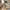 Dokka Spisebordsstol i Sand med Sorte Ben fra House Nordic | L57.5xB52xH87.5cm