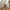 Dover Spisebordsstol i Natur fra House Nordic | 58x61x83cm