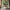 Essex Sofabord i Natur Egetræ & Ben i Natur Egetræ fra Actona | B80xD80xH45cm - Billede 2