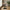 Fano Cafebord i Natur Fra House Nordic | MDF - 70x70x75 cm