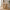 Flow Town Spisebord i Egetræ og Finér fra Unique Furniture | L180xB95xH76cm