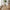 Fulham Spisebordsstol i Sand fra House Nordic | 53x60x79cm