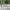 I_York Spisebordsstol i Off White Papirstrå med Armlæn og Stel i Hvidpigmenteret Egetræ fra Actona | 54x54x83cm - Billede 2