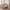 Kingston Sofa med 2 Puder i Natur Fra House Nordic | Venstrevendt | B256cm | Dybde: 67-148cm
