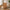 Kyoto Skænk i Natur Egefiner Fra House Nordic | 3 skuffer & 2 låger | 150x40x74 cm