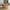Kyoto Sofabord i Natur Egefiner Fra House Nordic | 2 Skuffer - 50x100x45 cm