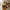 Lammeskind i Lysebrun fra House Nordic | 50x85x5cm