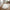 Lammeskindshynde i imiteret hvid polyester Fra House Nordic | 60x180