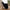 Lammeskindshynde i imiteret sort polyester Fra House Nordic | 60x180