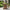 Larisa Havestol i Naturflet Fra House Nordic + Gratis Hynde 56x64x88 cm