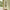 Luxon Spejl i Natur MDF fra House Nordic | B50xD2xH80 cm - Billede 2