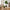 Marla Blomsterstandere sæt af 2 fra House Nordic | 17/19,5x17/19,5x31/50,5 cm