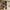 Maze Reol i Flere Farver fra Tvilum | B80xD29,5xH173,5cm - Billede 2