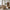 Messina Loungestol i Lysebrun fra House Nordic | 85x87x81cm