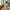Mira Spisebordsstol i Sand Bouclé med Sorte Metalben Fra House Nordic | Polyester