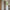 Nagano Vitrine i Hvidpigmenteret Egetræ med Klar Glas & Stel i Hvidpigmenteret Egetræ fra Actona | B80xD37xH178cm - Billede 2