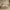 Naia Seng 140x190 i Flere Farver fra Tvilum | B146xD196,6xH80cm - Billede 2