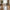 Nashville Spisebordsstol i Teak med Sort Metal Stel fra House Nordic | L55xB53xH83cm
