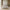 Next seng 140x200 med lameller fra Tvilum | B150,8xD225xH92,7cm - Billede 2