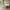 Next seng 160x200 med lameller fra Tvilum | B170,8xD225xH92,7cm - Billede 2