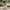 Nilo Loungesæt i Sand fra House Nordic | Sæt af 4