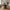 Nola Spisebord i Røget Egetræ fra Unique Furniture | Ø120-167xH75xD120cm