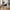 Nolan Spisebordsstol med Armlæn i Mørkegrå PU og Stål fra Unique Furniture | B58xH84xD59,5cm