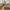 Pasaku Serveringsvogn i Natur i Naturfarvet fra House Nordic | 50x86x81cm