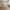 Prague Sofabord Sæt af 2 i Marmor Look Beige fra House Nordic | 57x57x47 cm