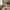Rieti Reol i Sand fra House Nordic | 31x90x81cm