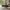 Ry Sofabord med 1 Skuffe i Flere Farver fra Tvilum | B101,8xD48,2xH50cm - Billede 2
