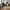 Salerno Spisebordsstol Sort Aluminium Fra House Nordic | Inklusiv hynde - 62x59x78 cm