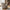 Sion Loungestol i Sand fra House Nordic | 83x88x72cm