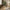 Stockholm Spisebordsstol i Brun Polyester med Metalben fra House Nordic | L54xB44xH88cm