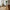 Stockholm Spisebordsstol i Mørkegrøn Bouclé Fra House Nordic | Polyester