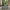 Strington Sofabord i Sort Izmir Ru Melamin & Røg Hærdet Glas & Stel i Sort Stål fra Actona | B80xD80xH40cm - Billede 2